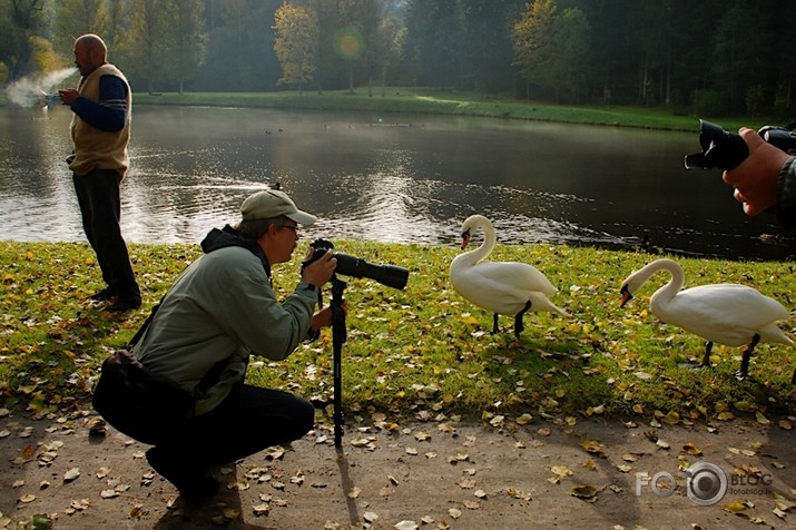 Vidzemē (2)