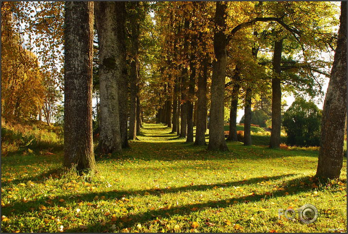 Vidzeme, Raunas Staburags un Raunas pilsdrupas..., 10-10-09