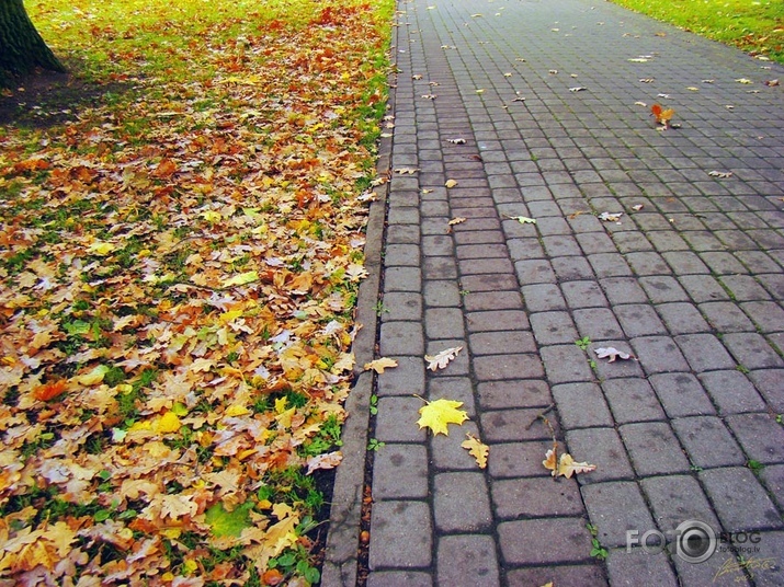 Rudens Rīgas parkos I