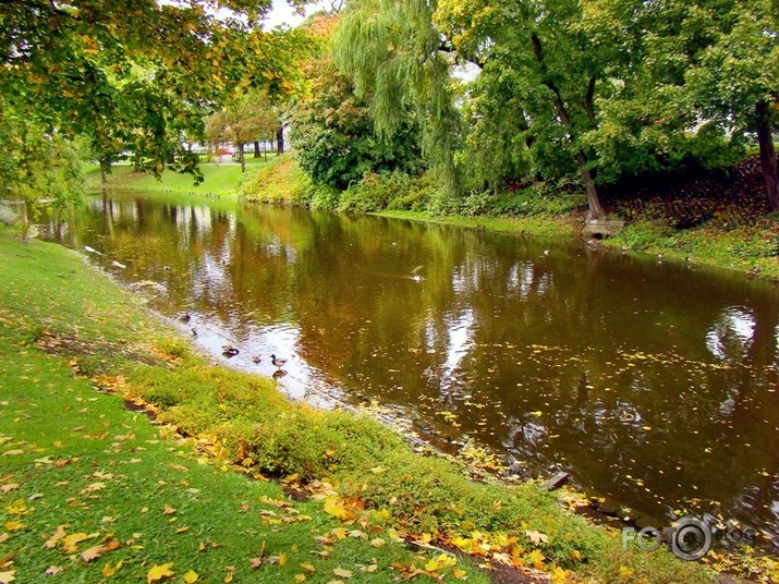 Rudens Rīgas parkos I