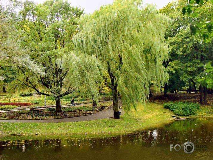 Rudens Rīgas parkos I