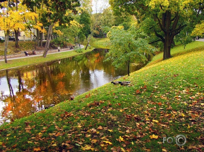 Rudens Rīgas parkos IV
