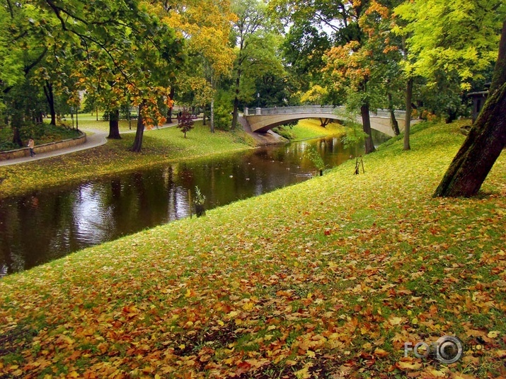 Rudens Rīgas parkos IV