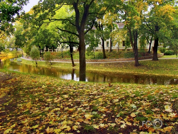 Rudens Rīgas parkos IV
