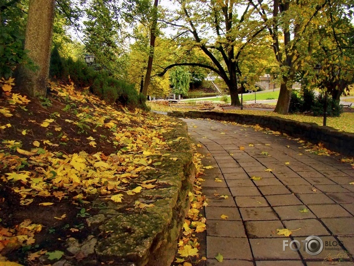Rudens Rīgas parkos IV