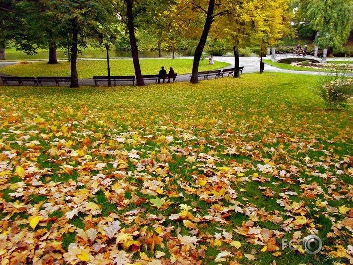 Rudens Rīgas parkos IV