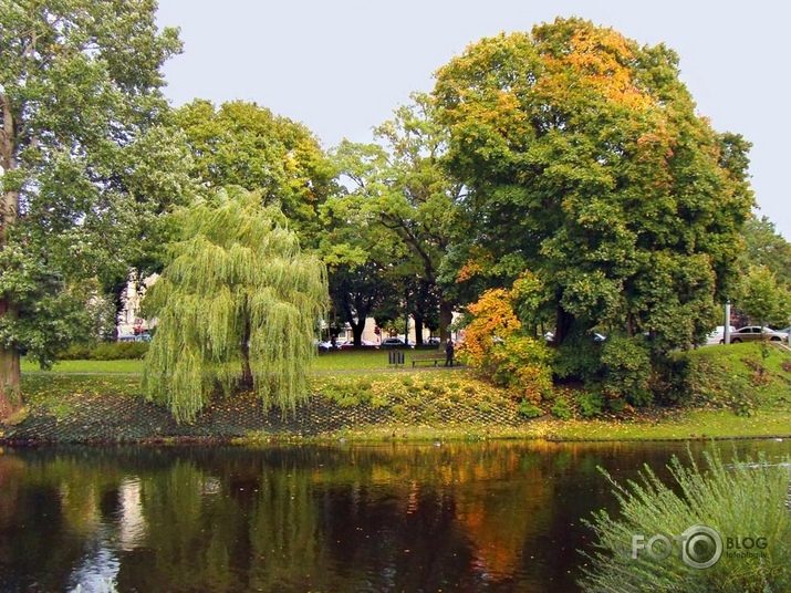 Rudens Rīgas parkos IV