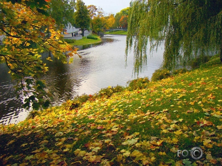 Rudens Rīgas parkos IV