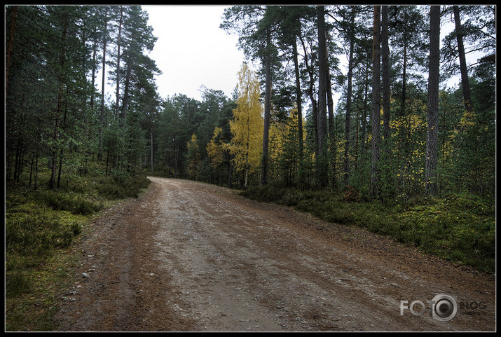 Svētdienas velolīkums