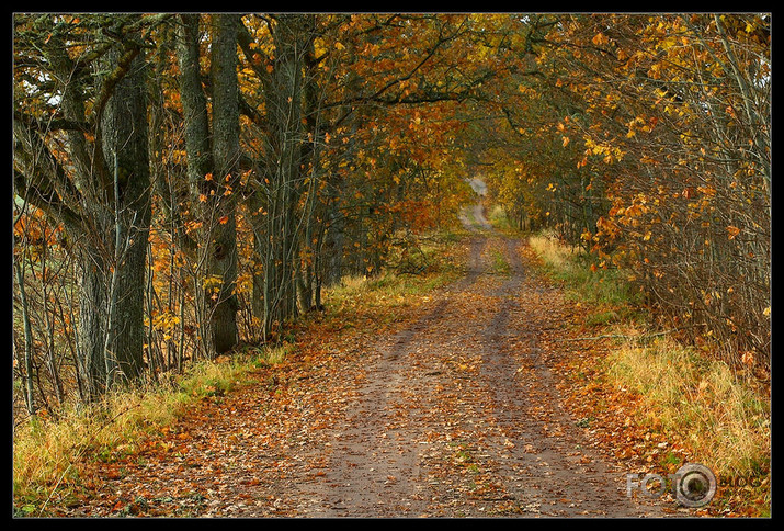 rudens ceļš