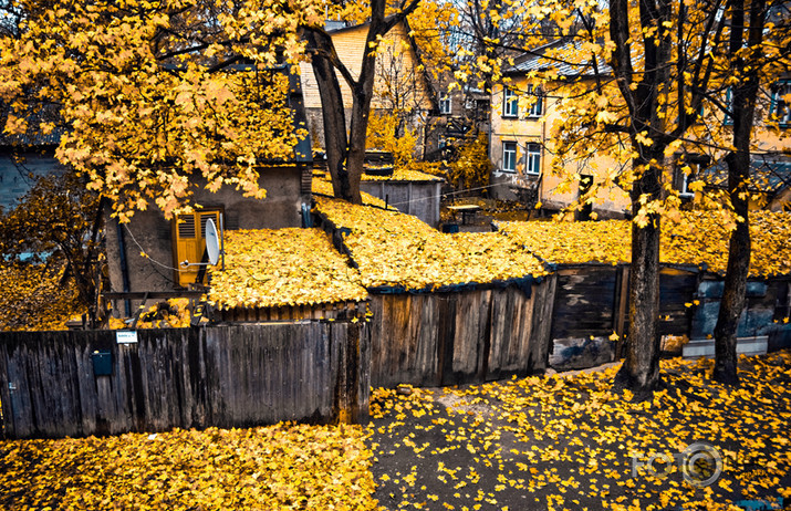 rudens biezā slānī :)