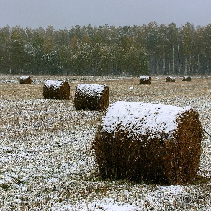 dekorāciju maiņa