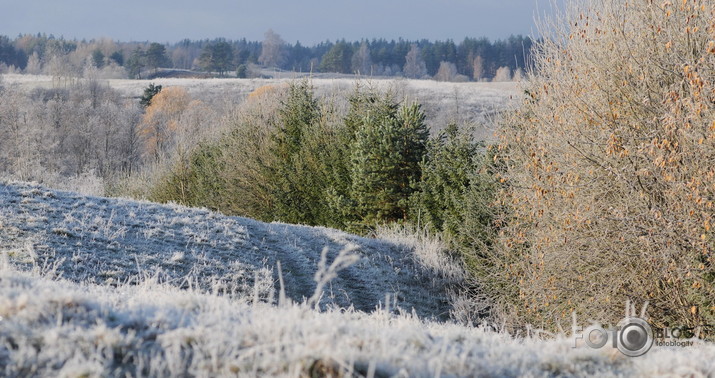 1.novembris Pildā