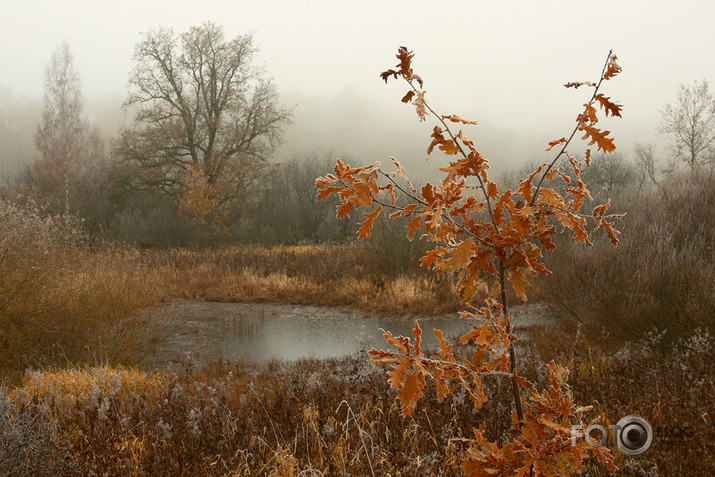 rudens miglā tīts