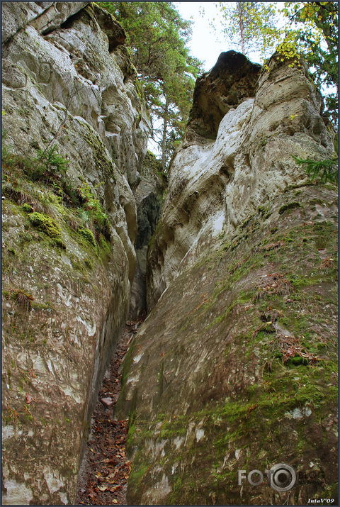 Vidzeme, Sietiņiezis..., 11-10-09