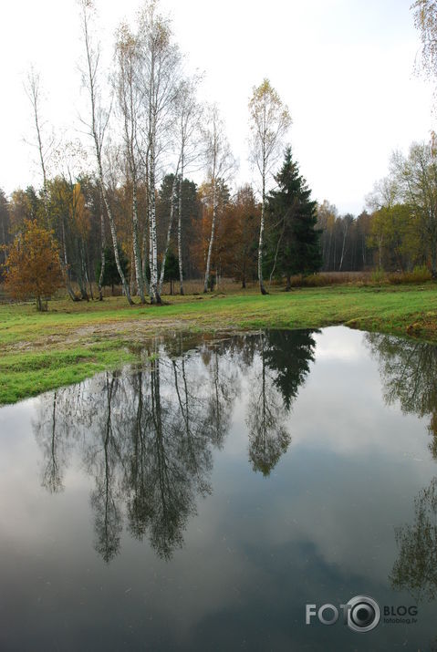 rudens atspulgs