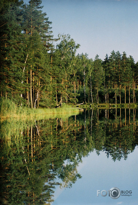 Mirror of Nature