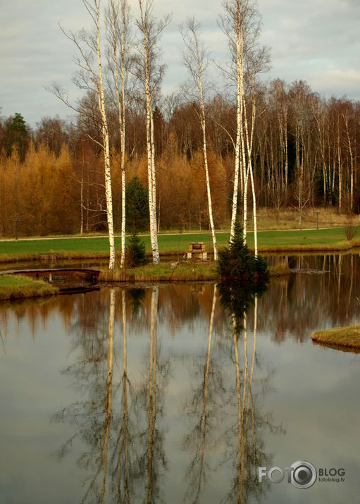 Rudens spoguļi...