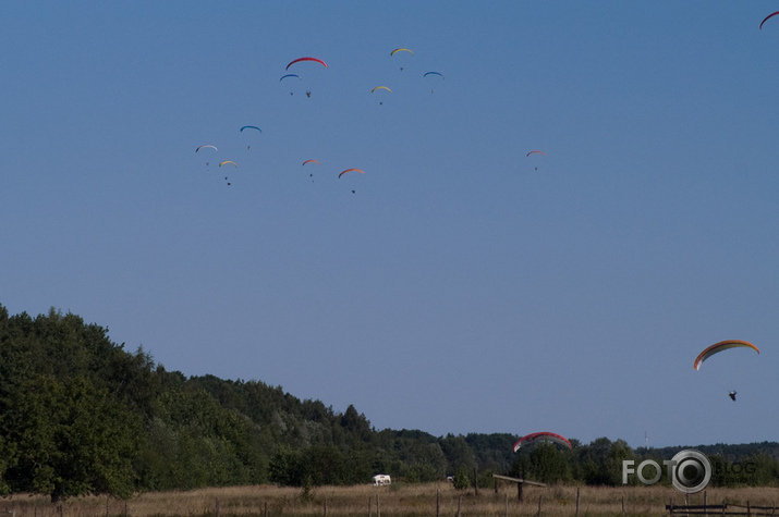 Siseņi