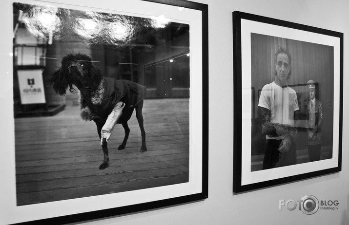 Paris Photo 2009