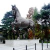 Leonardo da Vinči "Il Cavallo"