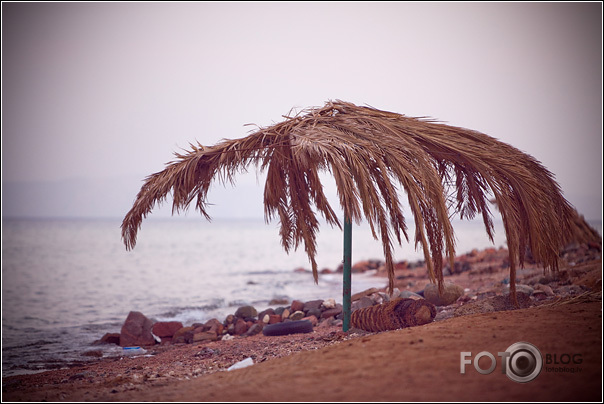 Welcome to Dahab!