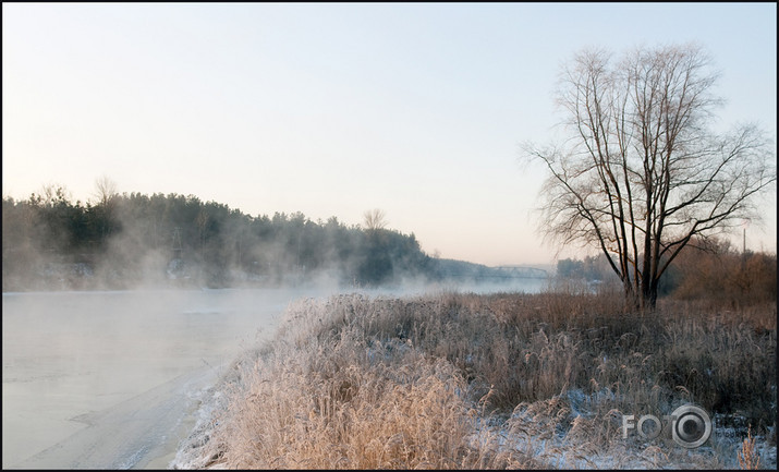Gauja salst