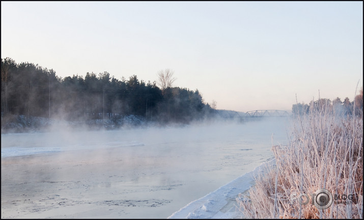 Gauja salst