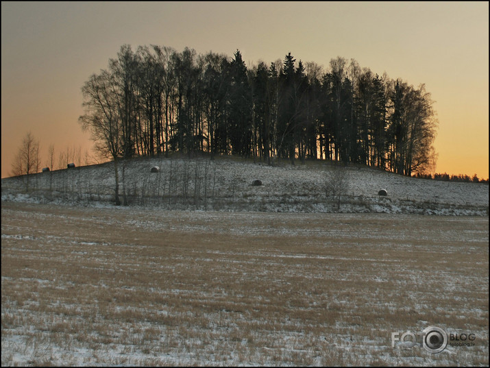 Dzestrs rīts