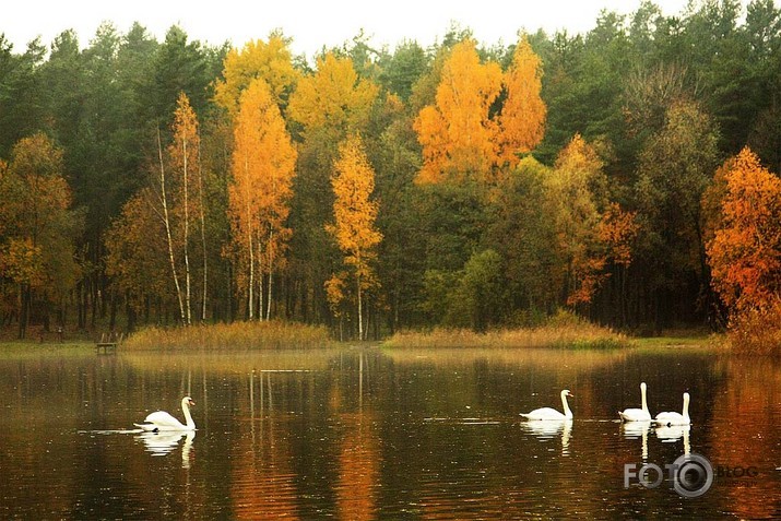 Rudens