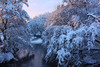 Ziemas miers