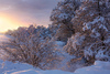 Decembra saulē