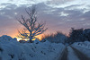 Novakare