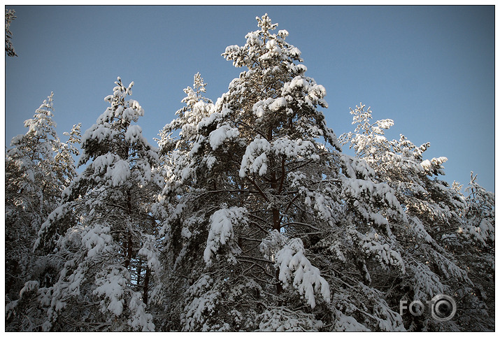 Ziemas prieki Riekstu kalnā