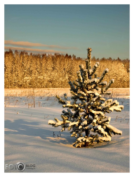 ak, priedīte, ak...
