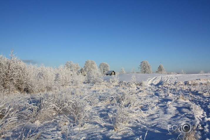 ziemas skaistums