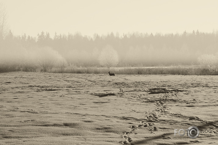 Pieķerts restorānā