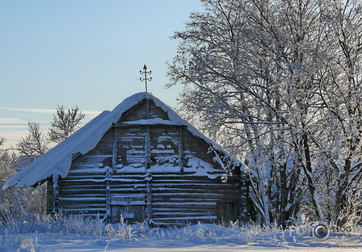 ūdens sasalis