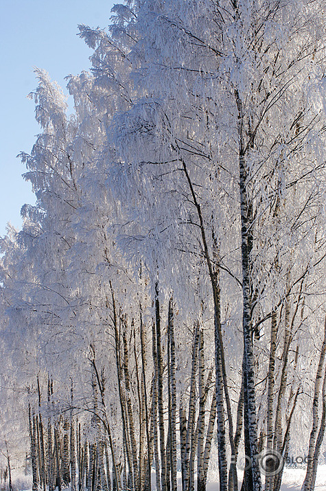 Daugavpils pusē 2