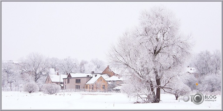 Ziemas diena...