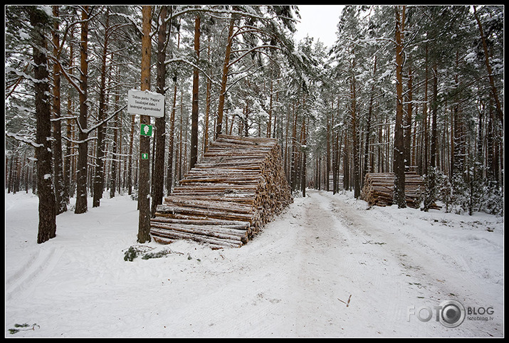 Carnikava-Gauja