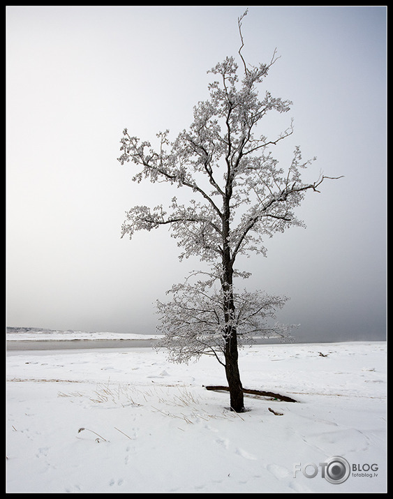 Carnikava-Gauja