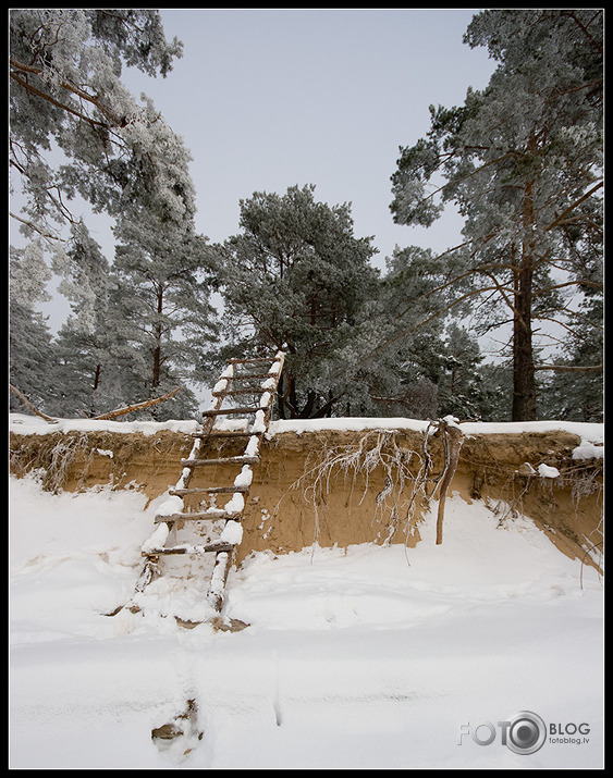 Carnikava-Gauja