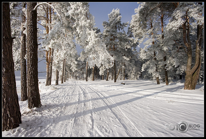 Carnikava-Gauja