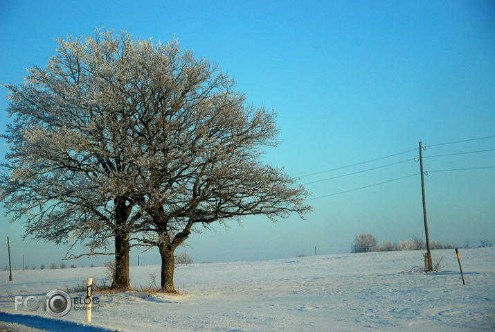 Pļava