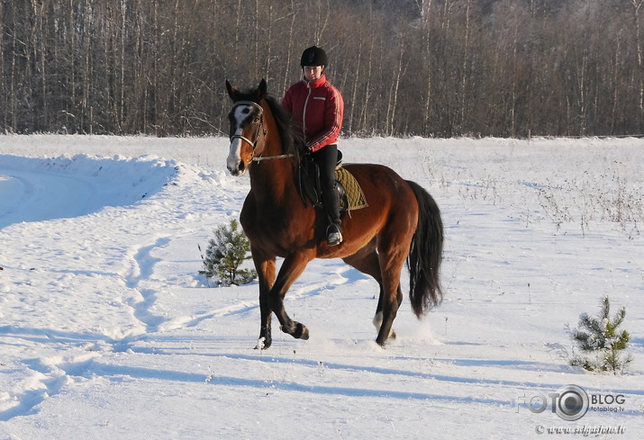 Šēras relax-izskrējiena ziemas diena...