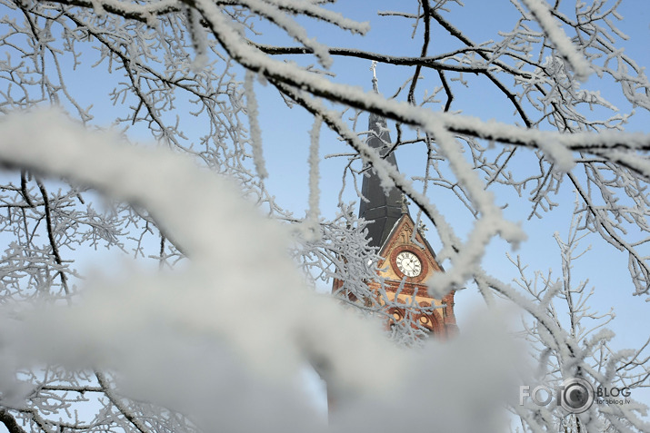 sarma Jelgavā