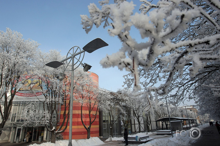 sarma Jelgavā