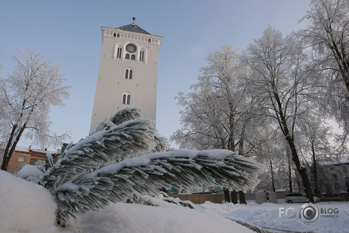 sarma Jelgavā