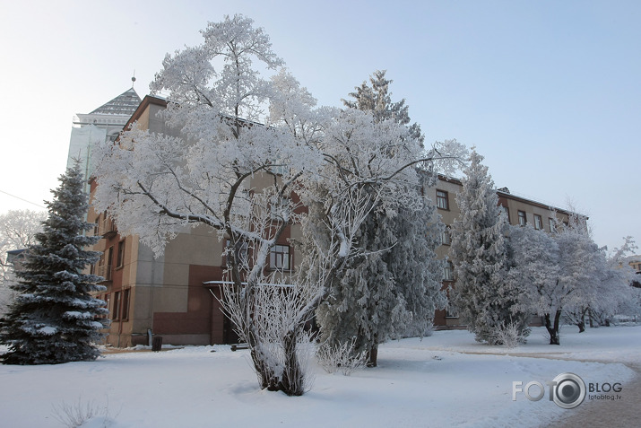 sarma Jelgavā